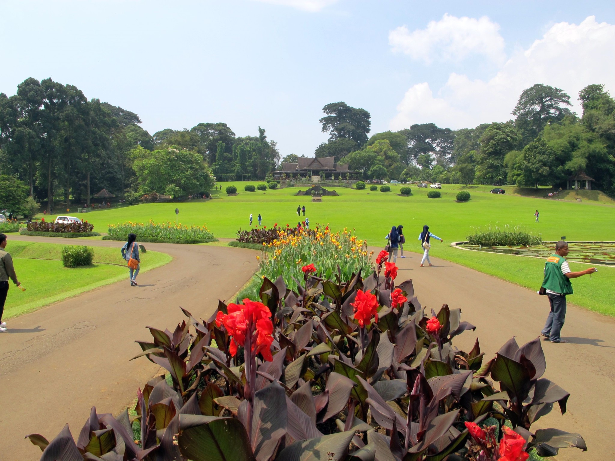 im botanischen Garten von Bogor